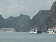 Environmental protection efforts augmented in Ha Long Bay