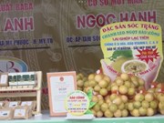 OCOP products introduced at Soc Trang fair