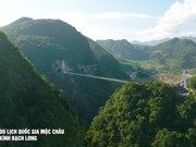 Moc Chau listed as World’s Leading Regional Nature Destination