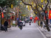 Hanoi streets on first morning of Lunar New Year