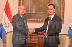 Vietnam, Paraguay mark 20th anniversary of diplomatic ties 