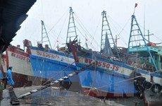 Storm shelter and fishing port to be built in Kien Giang province 