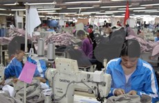 Dong Nai: 5,800 rural workers benefit from vocational training project