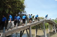 Bridge built to reach flood-isolated Dong Nai
