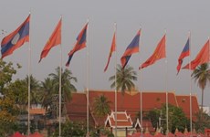 Laos to promote ASEAN solidarity, centrality: official