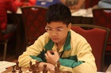 Vietnamese master wins gold in int’l chess competition
