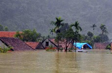 Quang Nam helps build flood-proof houses