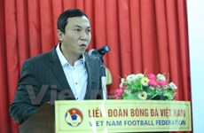Representative of Vietnam elected as AFF deputy chairman 