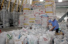 Vietnam sees 52 percent surge in rice export to Africa