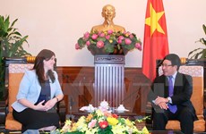 Vietnam promotes multi-faceted cooperation with Israel