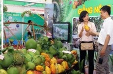 Hanoi to open agriculture and craft village fair 