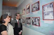 Exhibition on Vietnam - India friendship opens in HCM City