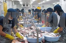 Tra fish sector needs strong brand name