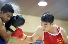 Vietnam earn berths at continental boxing champs