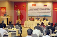  Vietnam, Venezuela look towards energy alliance