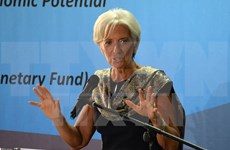 IMF believes Indonesia able to weather economic storm