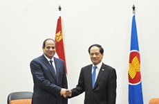 Egypt to bolster ties with ASEAN