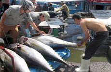 Tuna export value drops nearly 7 percent
