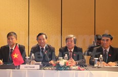 AIPA committees appraise critical regional issues