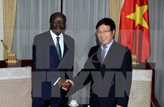  UNCTAD supports Vietnam’s ties with developing Africa 