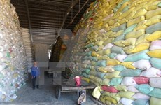 Indonesia to import rice from Vietnam, Thailand
