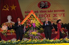 Hai Duong asked to focus on industrial development 