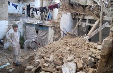 Vietnam keeps an eye on Vietnamese in quake-hit countries