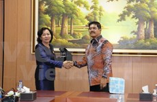 Vietnam seeks closer judicial cooperation with Indonesia