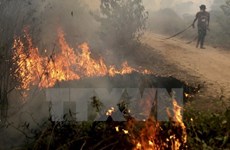 Number of hot spots in Indonesia drops 