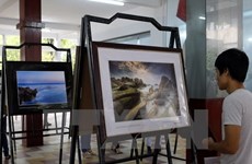 Photo exhibition on Vietnamese heritage sites opens in Da Nang 
