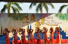 Vietnam attends ethnic cultural event in Hong Kong 