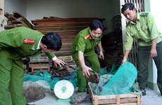Vietnam, African nations target wildlife trade