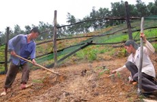 Measures to reduce land erosion in Dak Lak province 