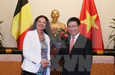 Deputy PM receives visiting President of Belgian Senate