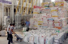 Rice export deals hit record level in October 