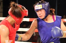 Vietnam wins gold at international boxing tournament 