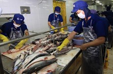  Tra fish industry needs makeover