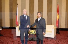 Czech Senate President visits Da Nang city 