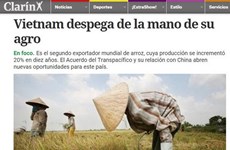 Argentine press: Vietnam takes off from agriculture