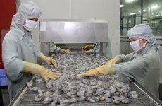 Yearly shrimp export could drop by 1 billion USD