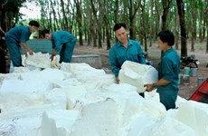 Rubber sector urged to enhance added value