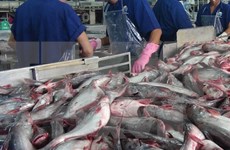 US Senators move to nullify new catfish inspection rules 