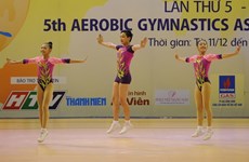 Vietnam lead at gymnastics qualifier 