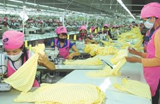 Phu Tho province boosts investment 
