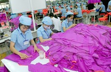 Vietnam's exports to grow 10 percent: HSBC 