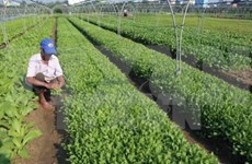 Quang Ninh invites investment in agriculture 