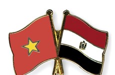 Vietnamese Ambassador presents credentials to Egyptian President 