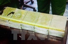 Major drug trafficking ring busted in HCM City