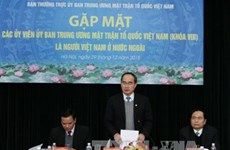 Overseas Vietnamese contribute to national development 