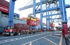 Port operator in HCM City eyes more cargo in 2016